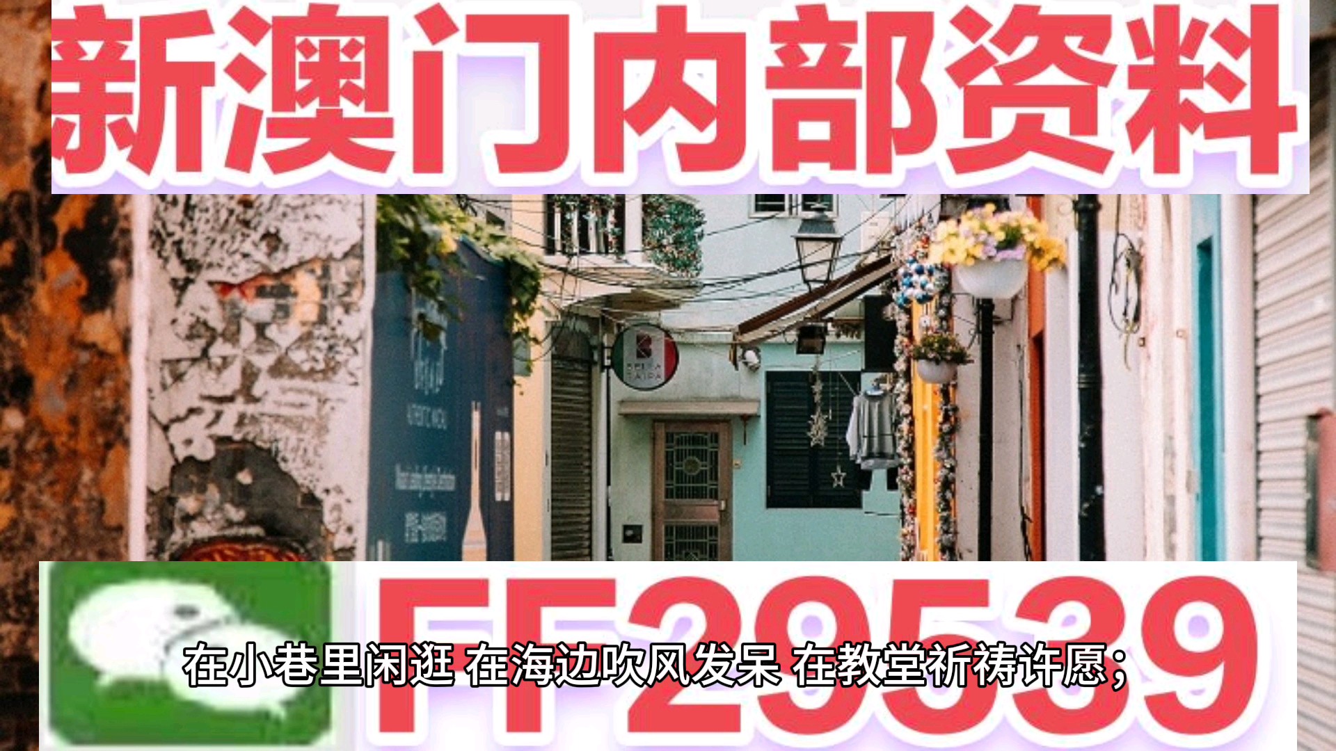 新澳門今晚開獎結果及開獎分析，澳門今晚開獎結果及深度分析