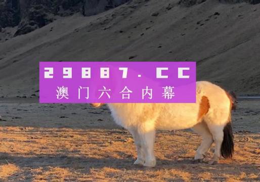 澳門今晚開碼揭秘，多彩開獎背后的故事，澳門多彩開獎背后的秘密，今晚開碼揭秘