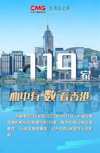 香港資料大全，正版資料下載手機(jī)2025年，香港資料大全2025年正版手機(jī)下載指南