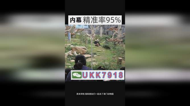 揭秘2025今晚澳門開獎結(jié)果——全方位解讀彩票開獎盛況，揭秘2025澳門彩票開獎結(jié)果，全方位解讀開獎盛況