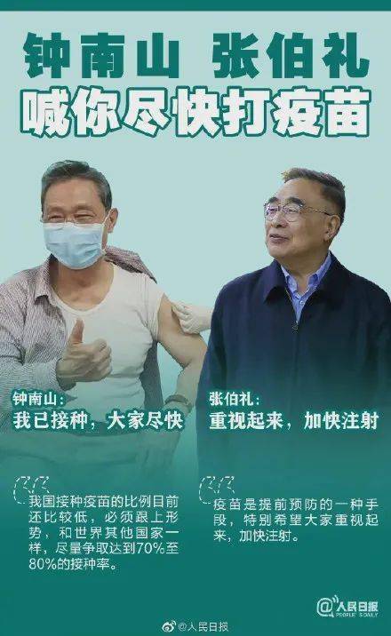澳門一碼一肖一待一中四不像圖片，深度解析與探索，澳門一碼一肖一待一中四不像圖片，深度探索與解析