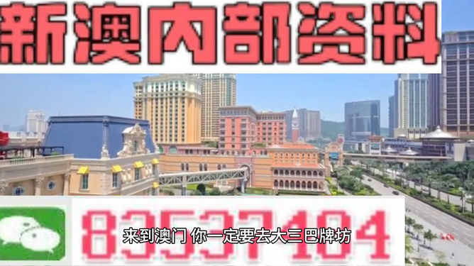 澳門正版資料的深度解析，澳門正版資料深度解析與解讀