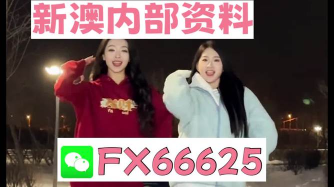 新澳門一肖一特一中，文化、發(fā)展與未來展望