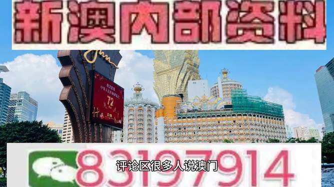 澳門特馬今天的結(jié)果揭秘，澳門特馬今日結(jié)果揭曉