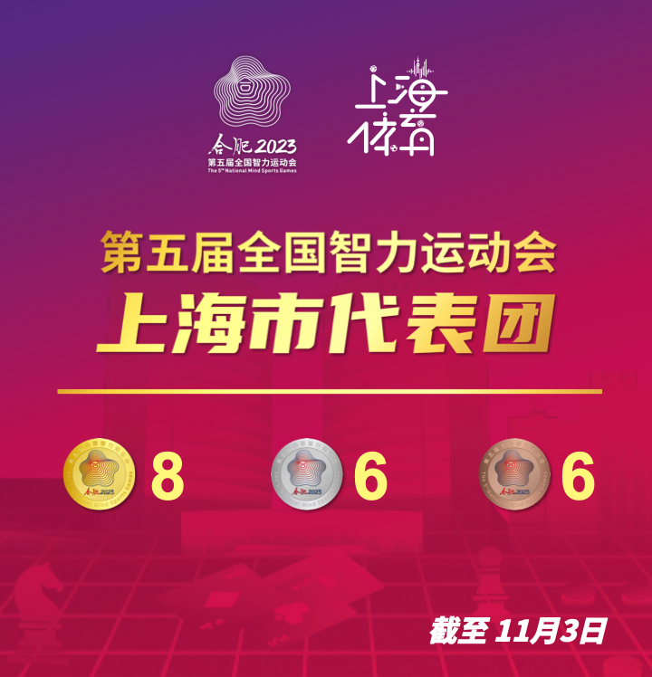 新澳門正牌掛牌之全篇章，新澳門正牌掛牌全解析