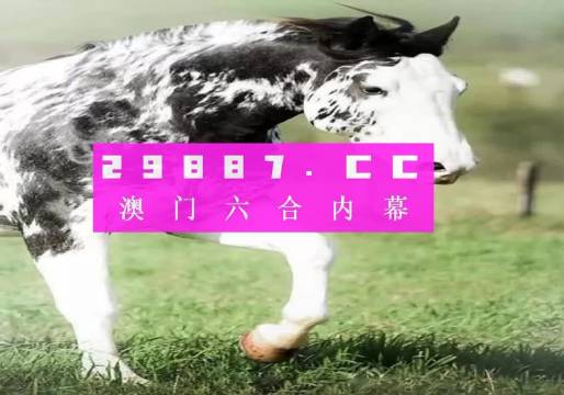 揭秘三肖一碼，數字時代的神秘符號，揭秘三肖一碼，數字時代的神秘符號揭秘