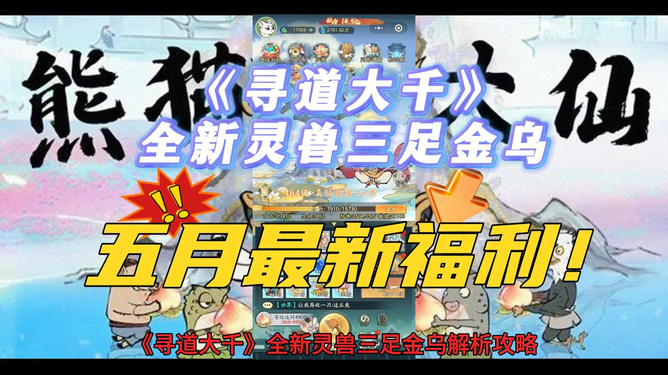 新奧天天資料大全三中三深度解析，新奧天天資料大全深度解析之三